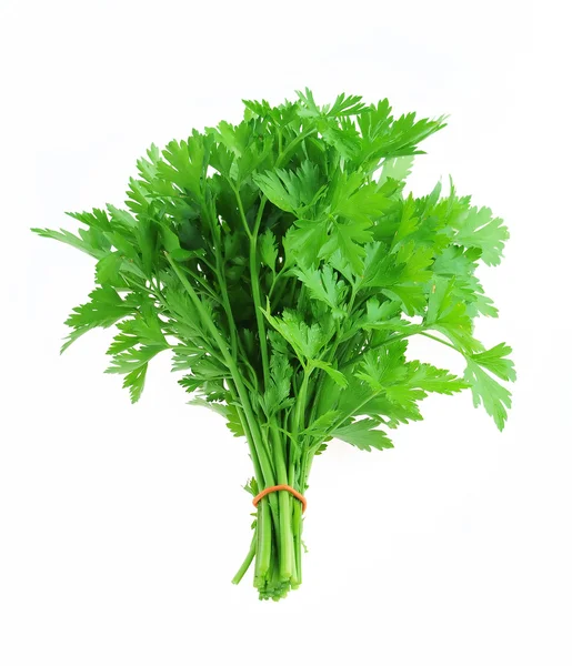 Bunch of fresh parsley isolated — Stock Photo, Image