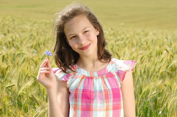 Joven hermosa chica en un campo de trigo —  Fotos de Stock