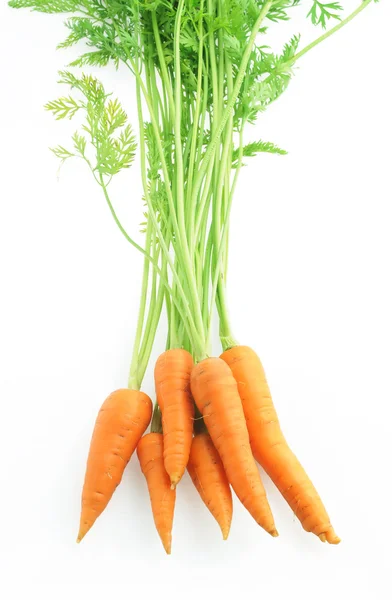 Karottenhaufen isoliert auf weiß — Stockfoto