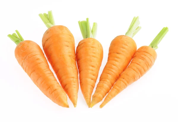 Куча моркови, изолированной на белом — стоковое фото