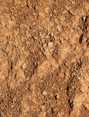 Dry agricultural brown soil