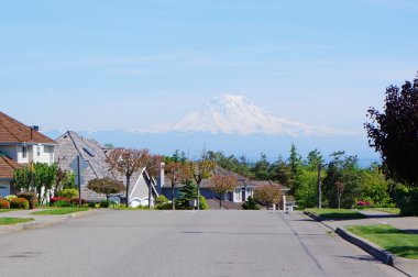 sokak mt.ranier ile su manzaralı büyük evleri.