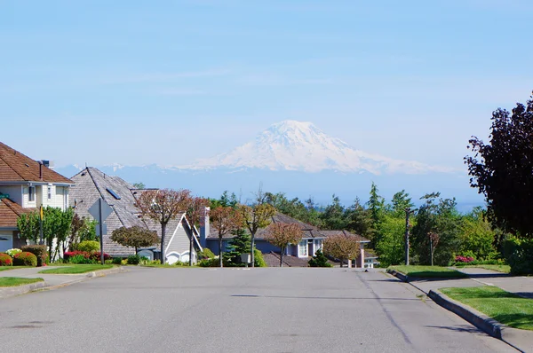 Large houses on the street with water view with Mt.Ranier. — Stock Photo, Image