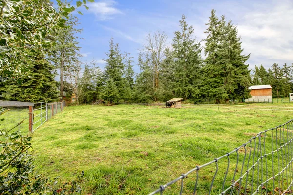 Large horse pasture with shed during spring. — Stock Photo, Image
