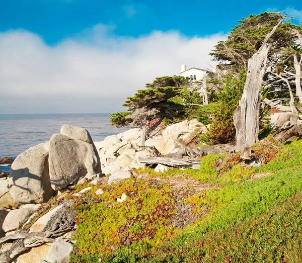 Bellissimo paesaggio con oceano, rocce e arbusti verdi . — Foto Stock