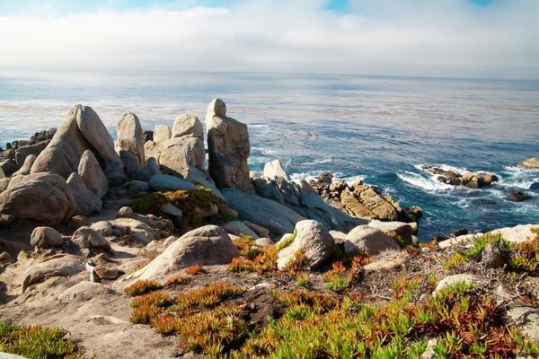 stock image Pacific Ocean shoreline with rocks and shrubs.