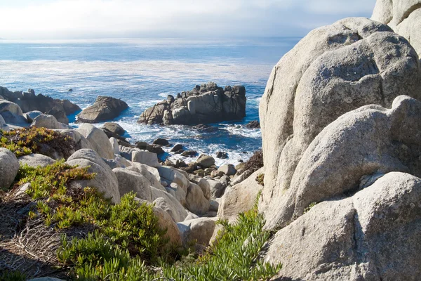 Pacific Ocean shoreline with rocks and shrubs. — Stock Photo, Image