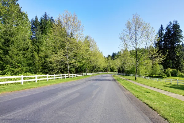 Strada con recinzione bianca e alberi primaverili . — Foto Stock