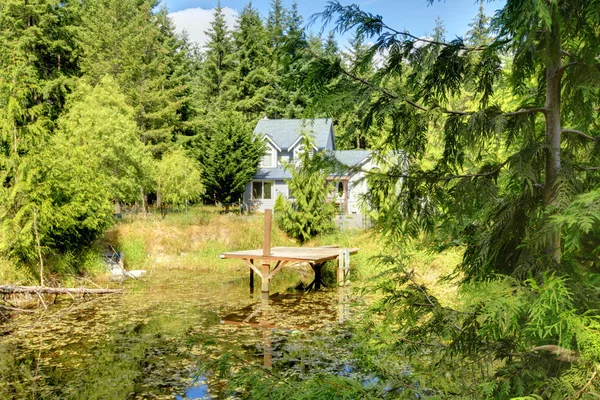 Haus mit Teich und Wald. — Stockfoto