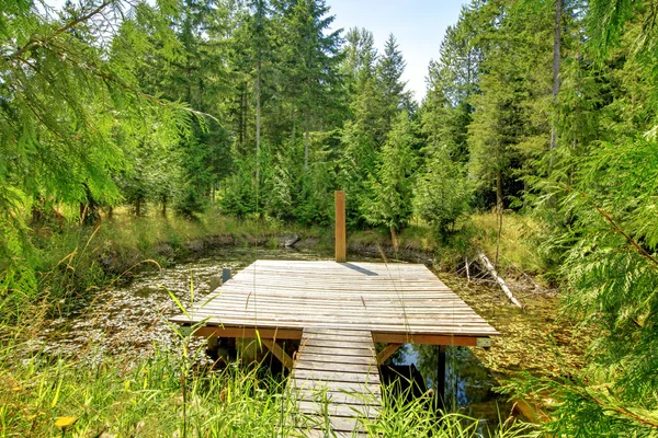 작은 부두와 숲에 있는 연못. — 스톡 사진