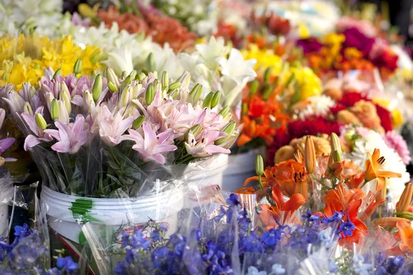 Flowers at the outdoor market in white bakets. — Stock Photo, Image