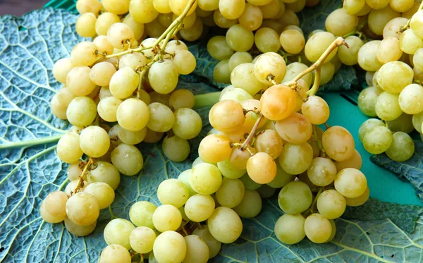 Zielony złoty winogron na zewnątrz rynku francuskim. — Zdjęcie stockowe