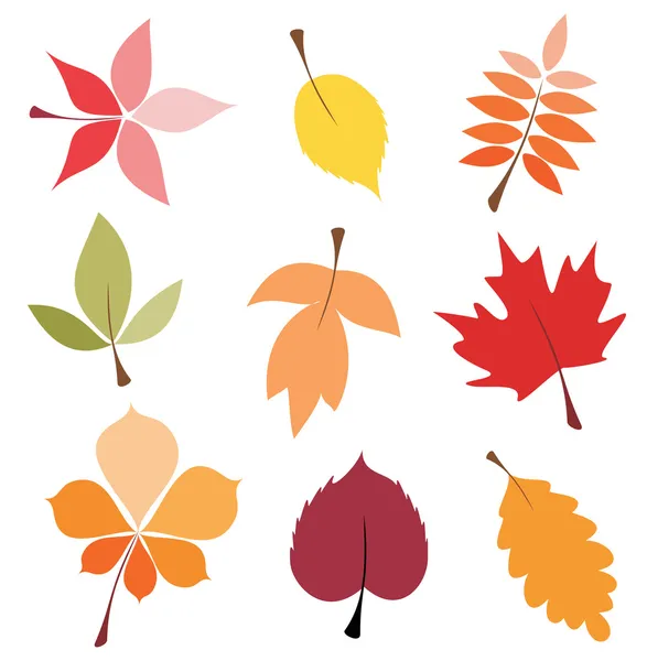 Conjunto de hojas de otoño — Archivo Imágenes Vectoriales