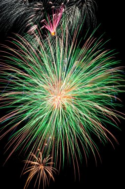 Green Firework Burst clipart