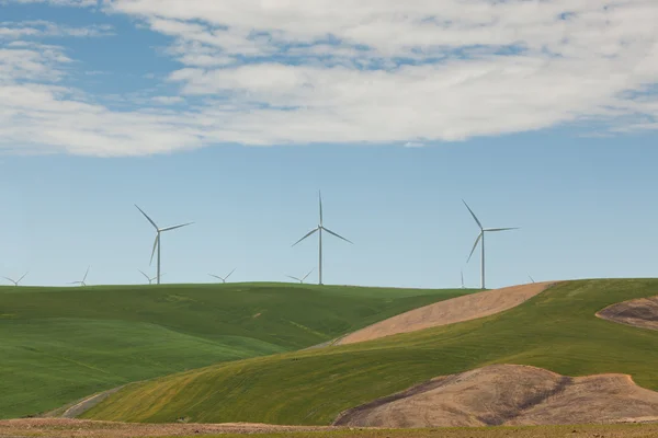 Windmills on Green Hills — Stock Photo, Image