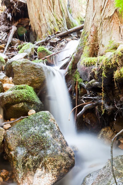 Silkeslen vatten creek — Stockfoto