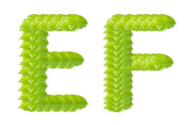 Green leaf E and F alphabet character. clipart