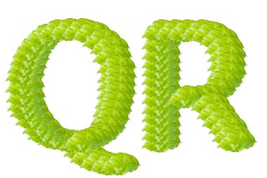 yeşil yaprak q ve r alfabe karakteri.