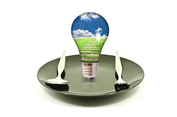 Light bulb on dish isolated. — Stock Photo, Image
