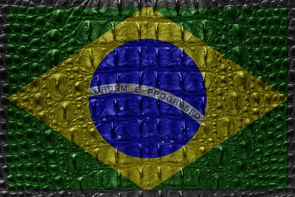 Brasilianische Flagge mit Krokodilleder — Stockfoto