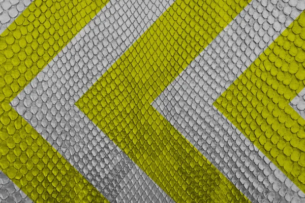 Yellow and black warning sign on snake skin texture — Stock Photo, Image