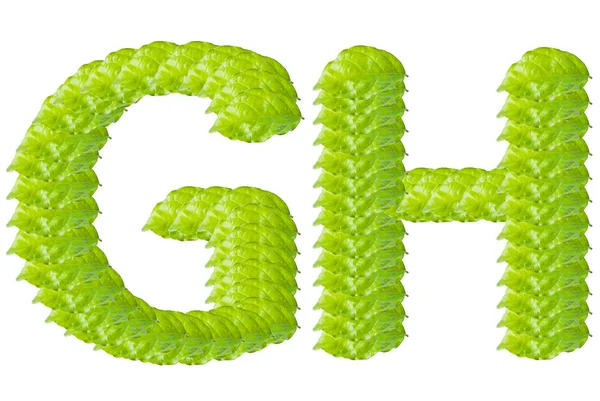 Groene blad g en h alfabet karakter. — Stockfoto
