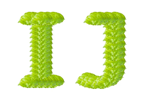 Karakter alfabet I dan J daun hijau . — Stok Foto
