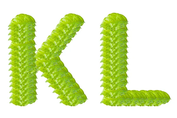 Zielony liść k i l znaków alfabetu. — Zdjęcie stockowe
