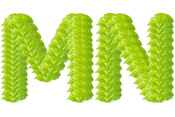 Green leaf M and N alphabet character. — Stock Photo, Image