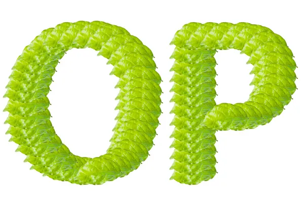 Foglia verde O e P alfabeto carattere . — Foto Stock