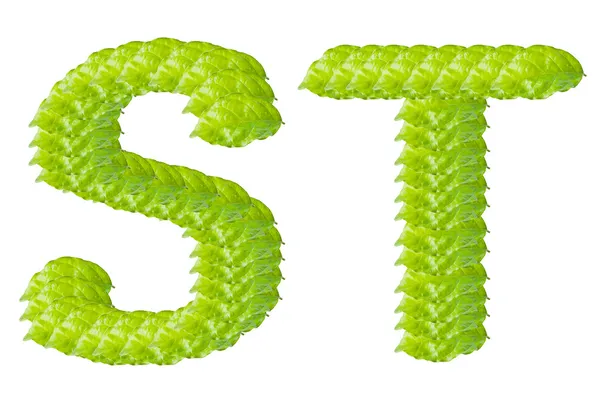 Green leaf S and T alphabet character. — Stock Photo, Image