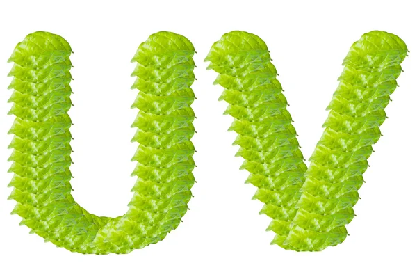 Green leaf U and V alphabet character. — Stock Photo, Image