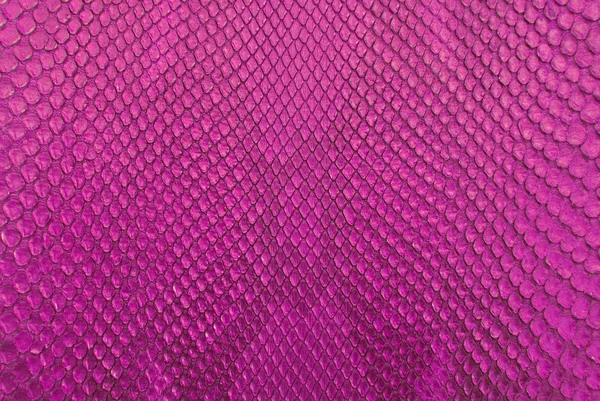 Vintage pink crocodile skin texture. — Stock Photo, Image