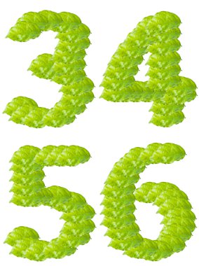 Green leaf numbers 3 4 5 6 alphabet character. clipart