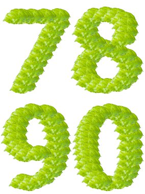 Green leaf numbers 7 8 9 0 alphabet character. clipart