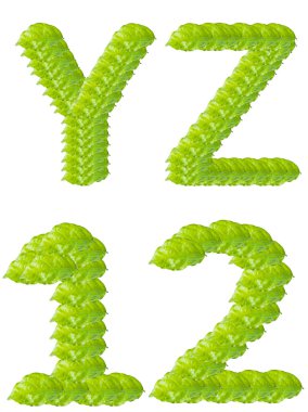 yeşil yaprak y z 1 2 alfabe karakteri.