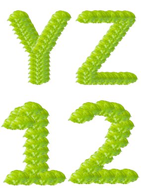 Green leaf Y Z 1 2 alphabet character. clipart