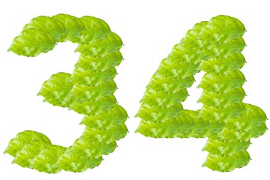 Green leaf number 3 and 4 alphabet character clipart