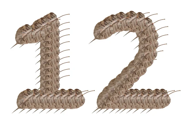 Suchy liść znak numer 1 i 2 — Zdjęcie stockowe