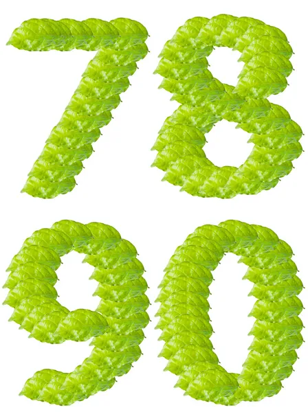 Green leaf numbers 7 8 9 0 alphabet character. — Stock Photo, Image
