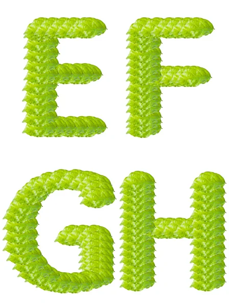 Zelená listová e f g h abecední znak. — Stock fotografie
