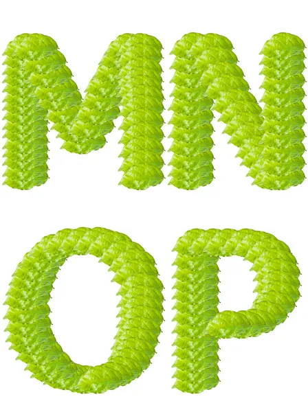 stock image Green leaf M N O P alphabet character.