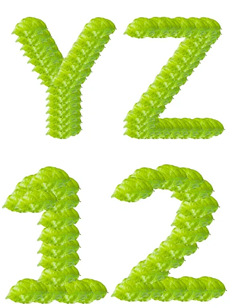 Green leaf Y Z 1 2 alphabet character. — Stock Photo, Image