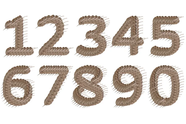Dry leaf number characters — Stock Photo, Image