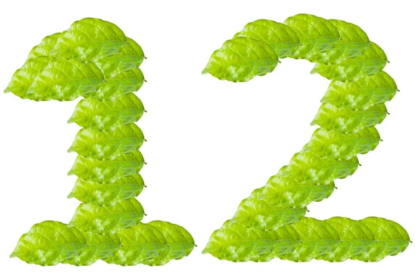Yeşil yaprak 1 ve 2 numaralı alfabe karakteri — Stok fotoğraf