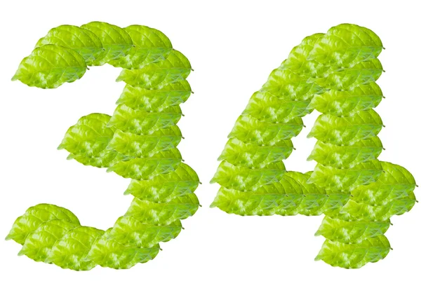 Folha verde número 3 e 4 caractere alfabeto — Fotografia de Stock