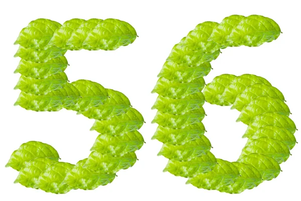 Zielony liść numer 5 i 6 znaków alfabetu — Zdjęcie stockowe