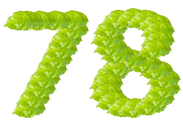 Yeşil yaprak 7 ve 8 numaralı alfabe karakteri — Stok fotoğraf