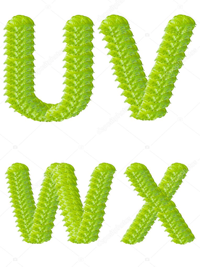 Green leaf U V W X alphabet character.