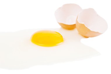 taze yumurta üzerinde beyaz izole